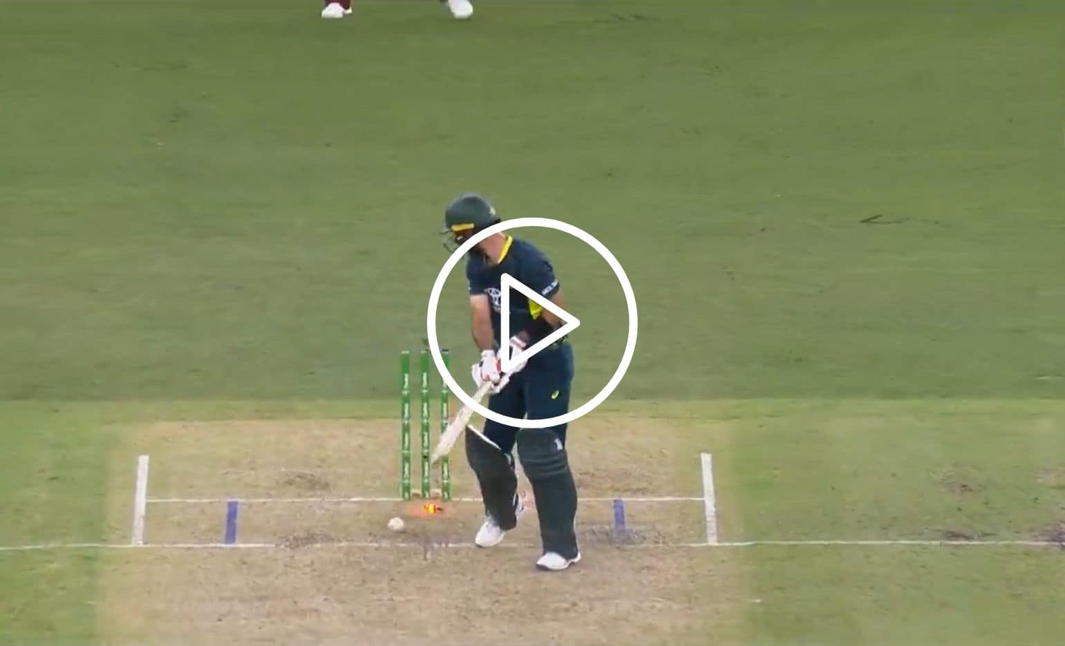 [Watch] Romario Shephard's Superb Yorker Ends Glenn Maxwell's Struggle At The Crease